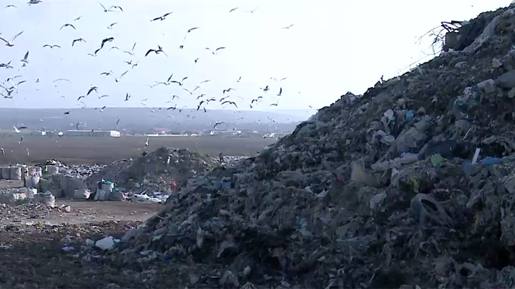 Deseuri Deseuri