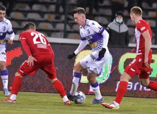 FC Arges – Dinamo 2-1. „Cainii”, ingropati de arbitraj. FC Arges - Dinamo 2-1