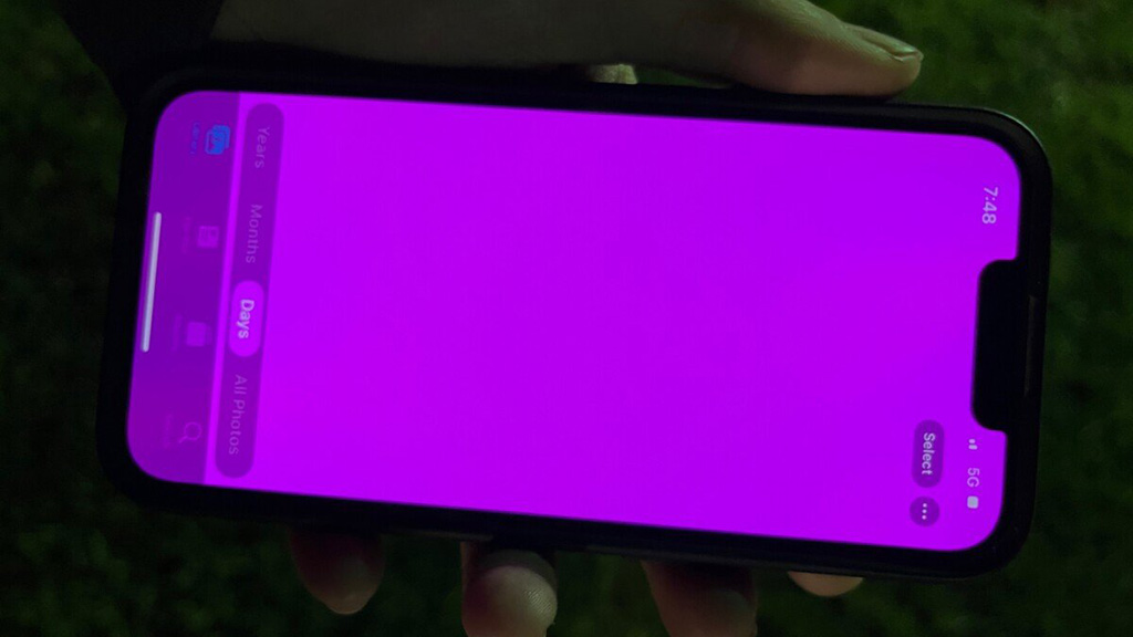 iPhone 13 bug pink display