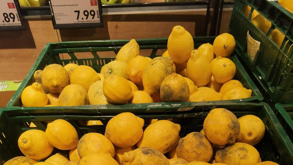 Produse mucegaite in Kaufland Produse mucegaite in Kaufland