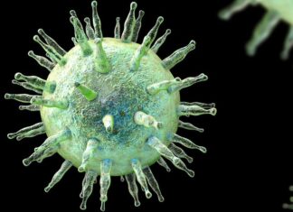 Scleroza multipla este foarte probabil cauzata de virusul Epstein-Barr Virusul Epstein Barr