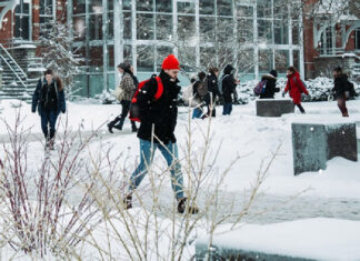 Petite vacanta intersemestriala