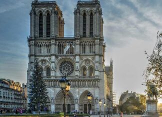 Descoperire uluitoare sub podeaua Catedralei Notre Dame