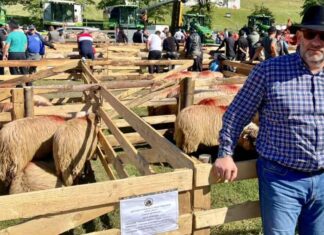 Cine e managerul care va gestiona 100 de milioane de euro Codrut Marius Semanaru