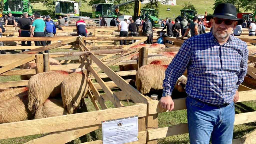 Codrut Marius Semanaru Codrut Marius Semanaru