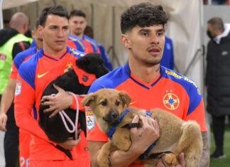 Sustinere neconditionata pentru „perla” lui Gigi Becali Sustinere neconditionata