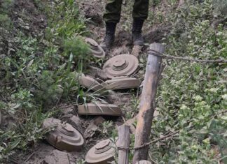 Deminarea Ucrainei ar dura intre 5 si 10 ani