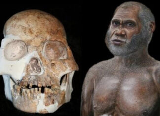 Descoperire facuta intr-o pestera din Laos Dinte uman intr-o pestera din Laos