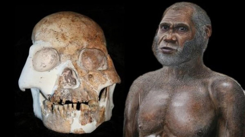 Dinte uman intr-o pestera din Laos Dinte uman intr-o pestera din Laos