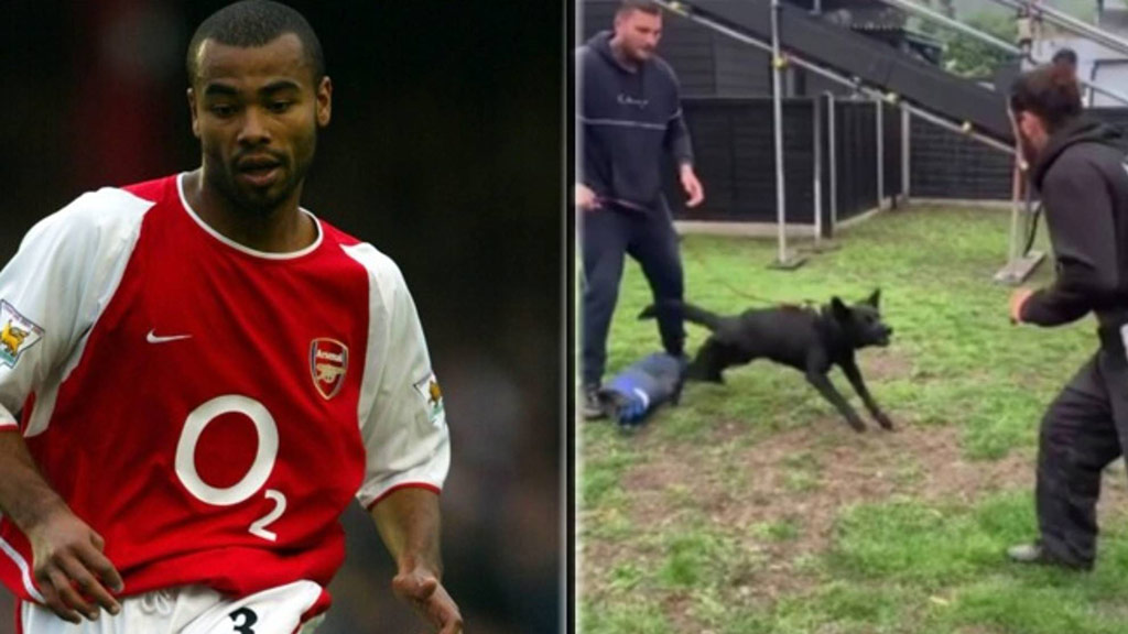 Ashley Cole si cainele sau Ashley Cole si cainele sau